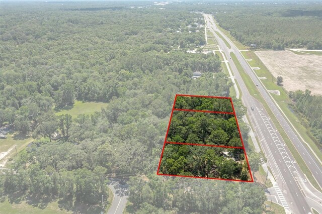 17166 Cortez Blvd, Brooksville, FL 34601 - photo 3