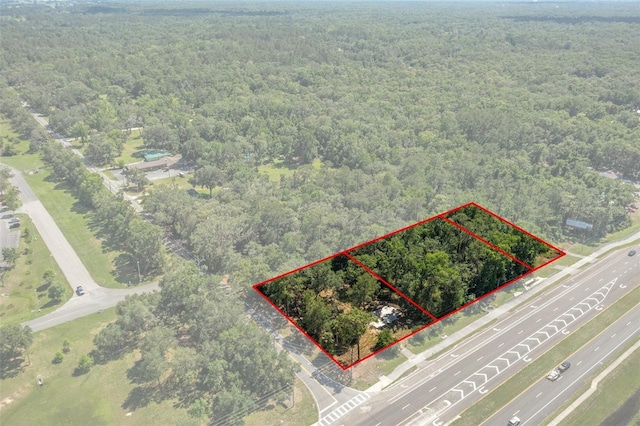 17166 Cortez Blvd, Brooksville, FL 34601 - photo 7