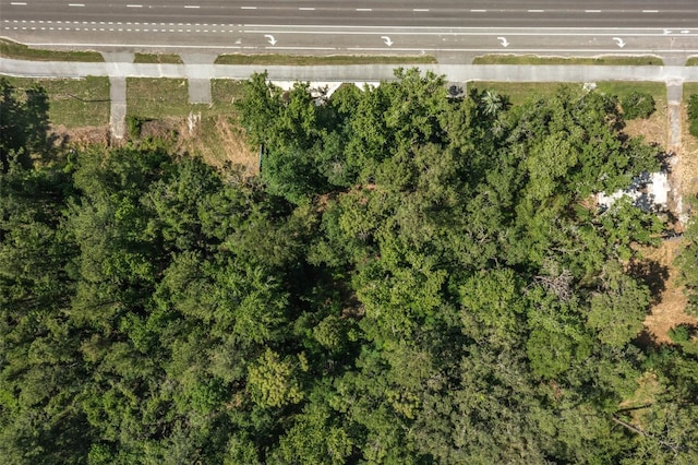 17166 Cortez Blvd, Brooksville, FL 34601 - photo 20