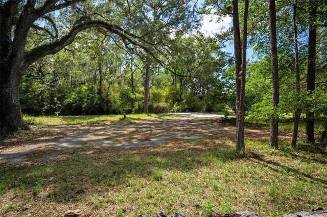 17166 Cortez Blvd, Brooksville, FL 34601 - photo 24