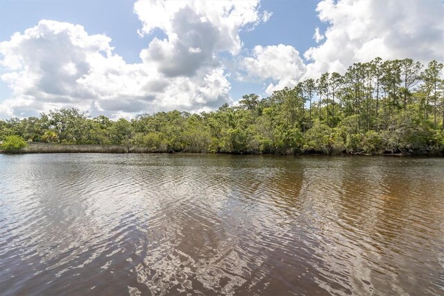 Flotilla, Holiday, FL 34690