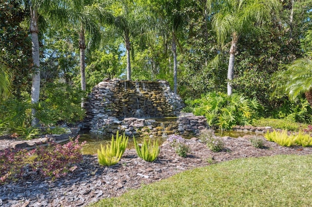 15413 Azra Dr, Odessa, FL 33556 - view of yard