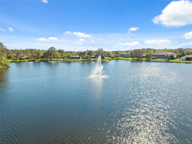 15413 Azra Dr, Odessa, FL 33556 - water view