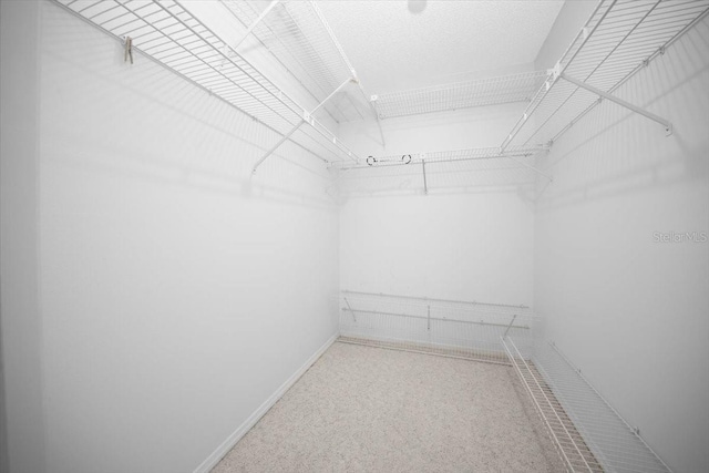 view of walk in closet