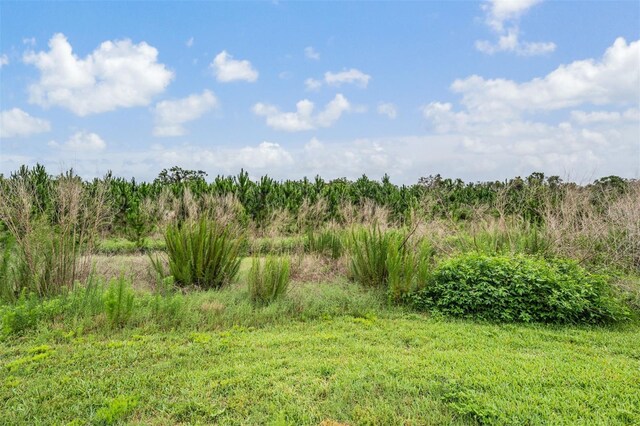 8417 Danbury Ln, Hudson, FL 34667 - photo 37
