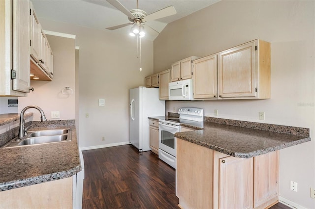 8417 Danbury Ln, Hudson, FL 34667 - photo 24
