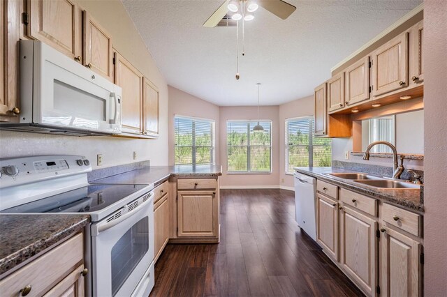 8417 Danbury Ln, Hudson, FL 34667 - photo 26