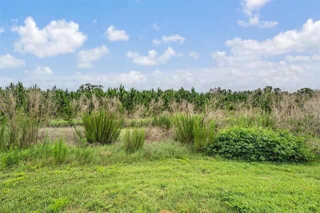 8417 Danbury Ln, Hudson, FL 34667 - photo 41