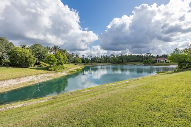 11611 Callisia Dr, Odessa, FL 33556 - water view