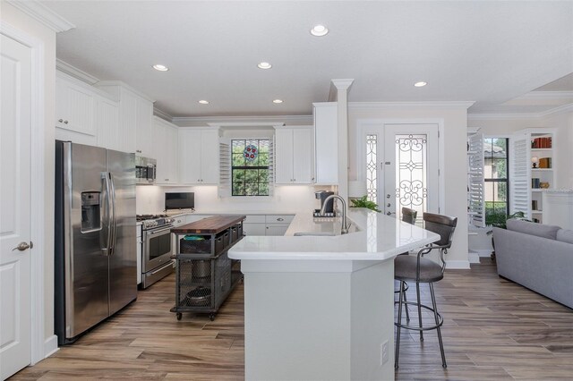 11611 Callisia Dr, Odessa, FL 33556 - kitchen featuring appliances with stainless steel finishes, a sink, a breakfast bar, a peninsula, and wood finished floors