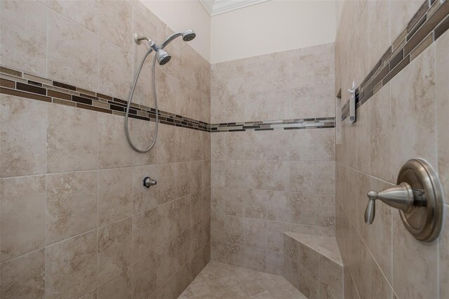 11611 Callisia Dr, Odessa, FL 33556 - bathroom with a tile shower and ornamental molding