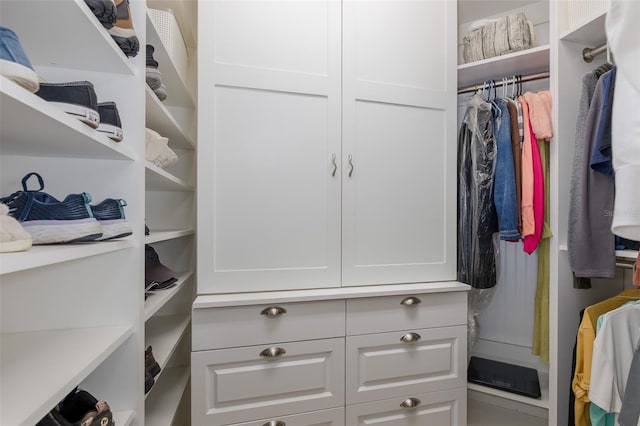 11611 Callisia Dr, Odessa, FL 33556 - view of spacious closet