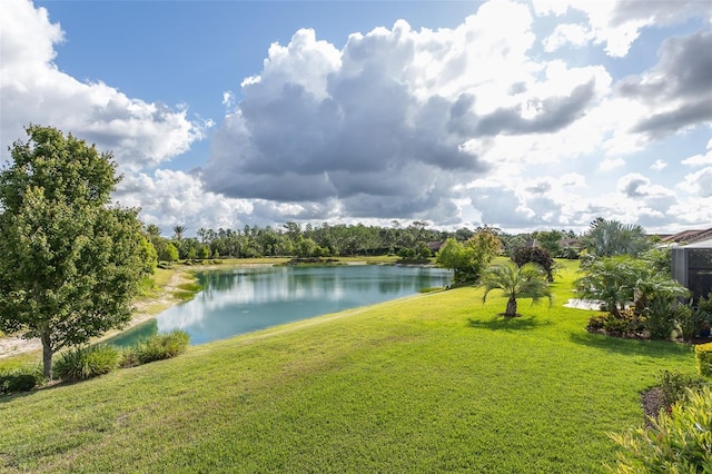 11611 Callisia Dr, Odessa, FL 33556 - water view
