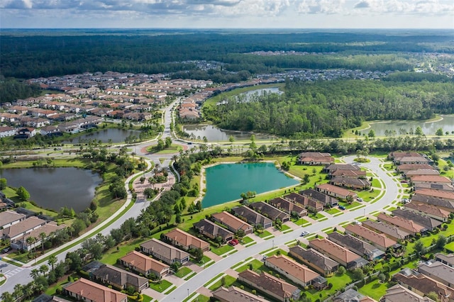 11611 Callisia Dr, Odessa, FL 33556 - aerial overview of property's location featuring a heavily wooded area and nearby suburban area