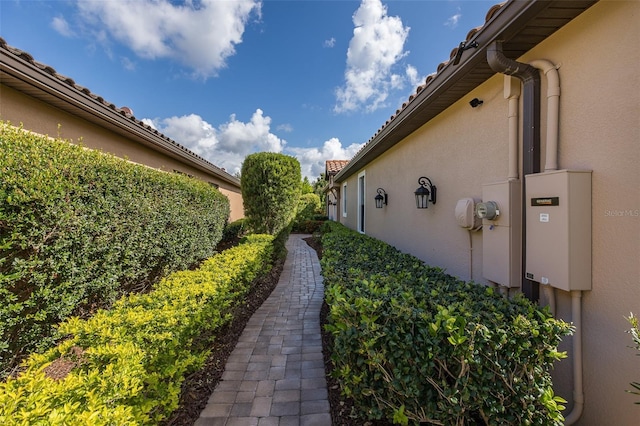 11611 Callisia Dr, Odessa, FL 33556 - view of yard