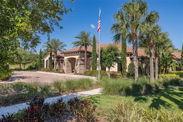 11611 Callisia Dr, Odessa, FL 33556 - view of front facade featuring a tiled roof, stucco siding, and stone siding