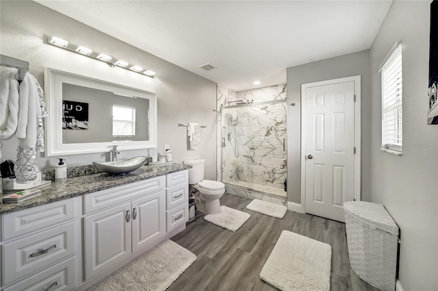 6222 Cherry Blossom Trl, Gibsonton, FL 33534 - bathroom featuring toilet, healthy amount of natural light, a marble finish shower, and vanity