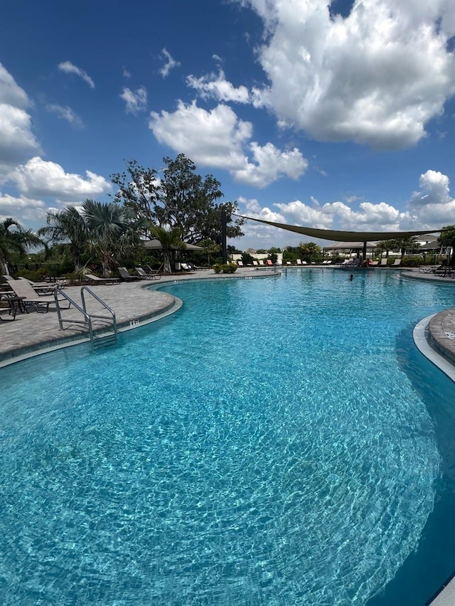 33592 Barberry Leaf Way, Wesley Chapel, FL 33543 - community pool featuring a patio area