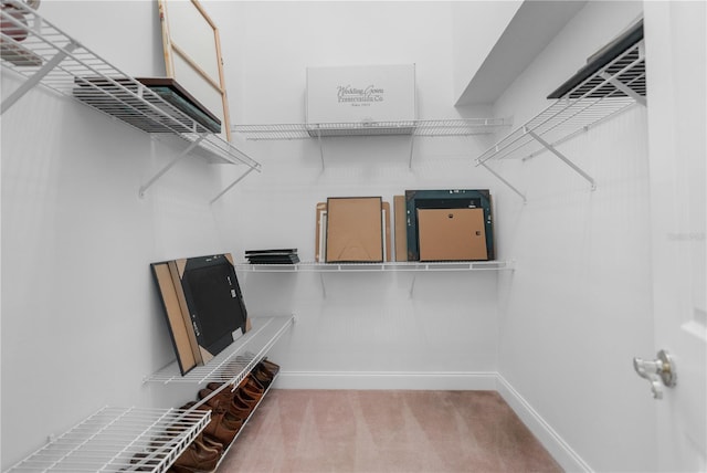 spacious closet with carpet floors
