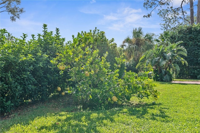view of nature