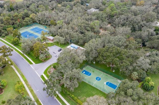 aerial view of a forest