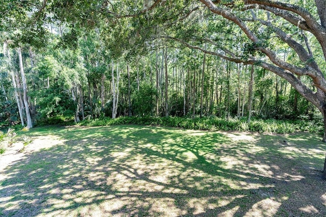 6454 Summerfield Loop, New Port Richey, FL 34655 - view of yard featuring a wooded view