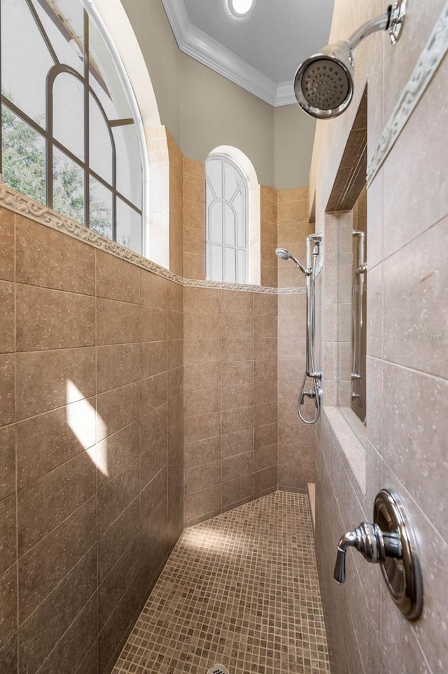 9933 Milano Dr, Trinity, FL 34655 - full bathroom with ornamental molding, a tile shower, and plenty of natural light