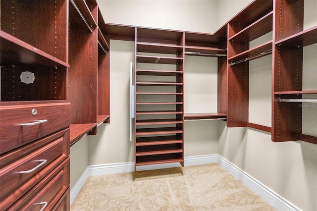 9933 Milano Dr, Trinity, FL 34655 - view of walk in closet