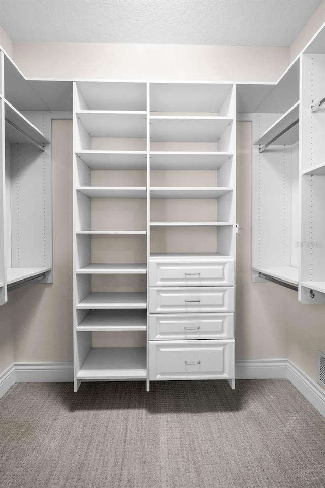 9933 Milano Dr, Trinity, FL 34655 - spacious closet featuring carpet flooring