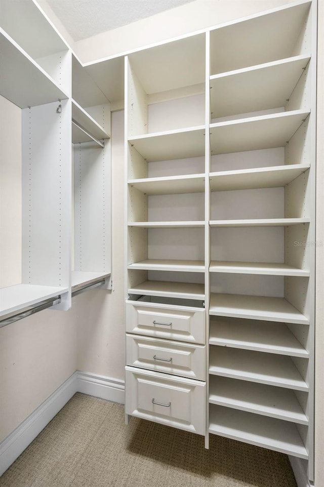 9933 Milano Dr, Trinity, FL 34655 - spacious closet featuring light colored carpet