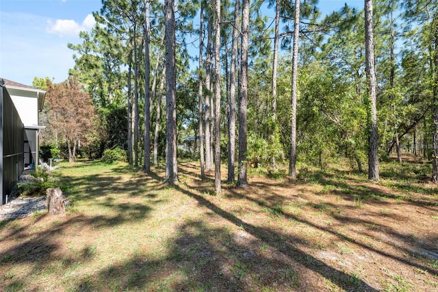 view of grassy yard