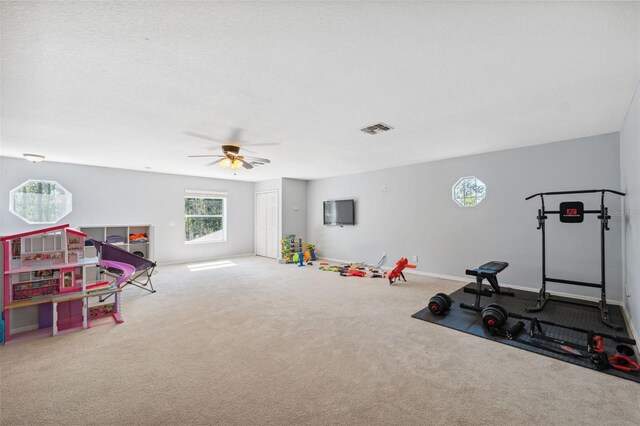 10 S Boxleaf Ct, Homosassa, FL 34446 - photo 36