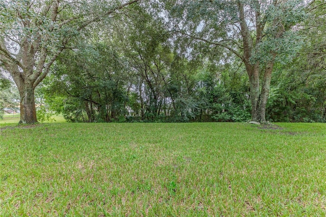 11158 Heathrow Ave, Spring Hill, FL 34609 - view of grassy yard