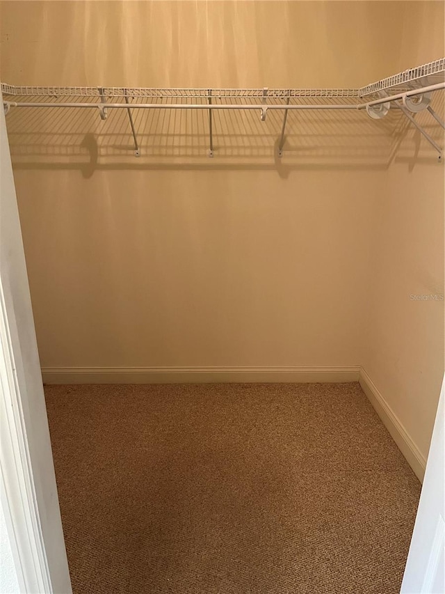 10054 Hernando Ridge Rd, Weeki Wachee, FL 34613 - spacious closet featuring carpet flooring