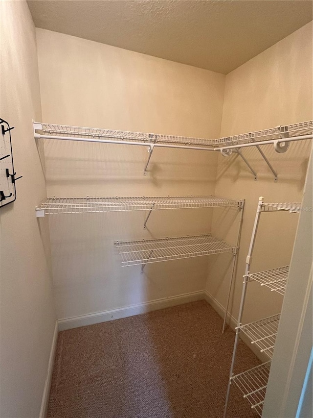 10054 Hernando Ridge Rd, Weeki Wachee, FL 34613 - spacious closet featuring carpet flooring