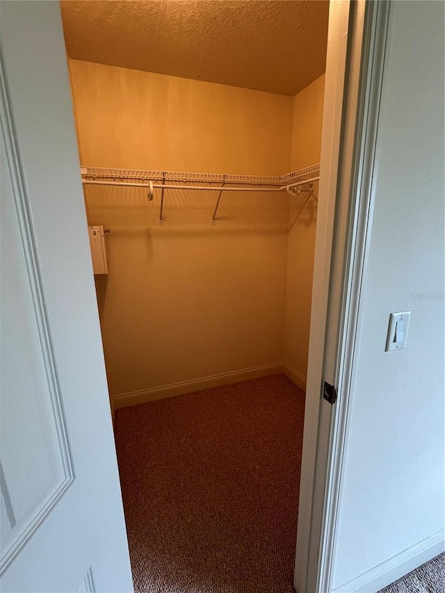 10054 Hernando Ridge Rd, Weeki Wachee, FL 34613 - spacious closet featuring carpet flooring