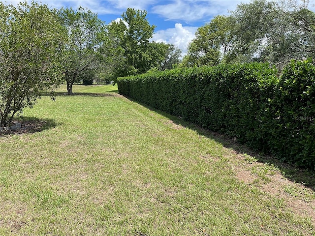 10054 Hernando Ridge Rd, Weeki Wachee, FL 34613 - view of green lawn