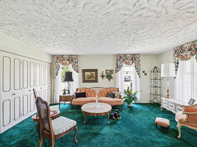 6823 Oak Hill Dr, New Port Richey, FL 34653 - carpeted living room with healthy amount of natural light and a textured ceiling