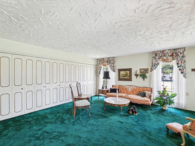 6823 Oak Hill Dr, New Port Richey, FL 34653 - living room featuring carpet and a textured ceiling