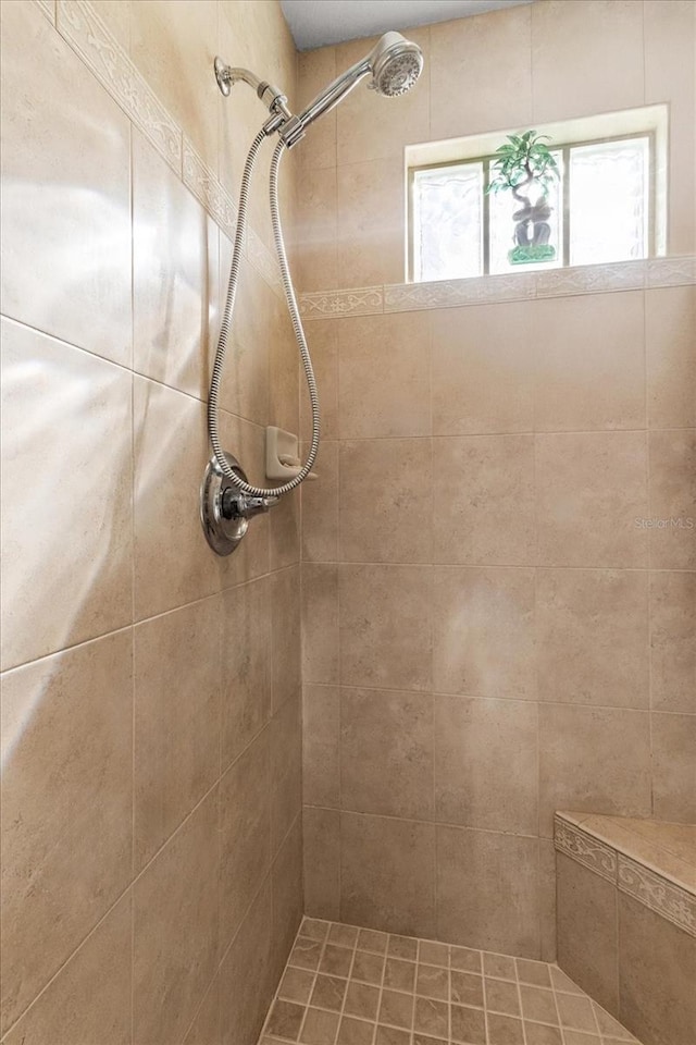 8596 SW 108th Place Rd, Ocala, FL 34481 - full bath featuring a tile shower