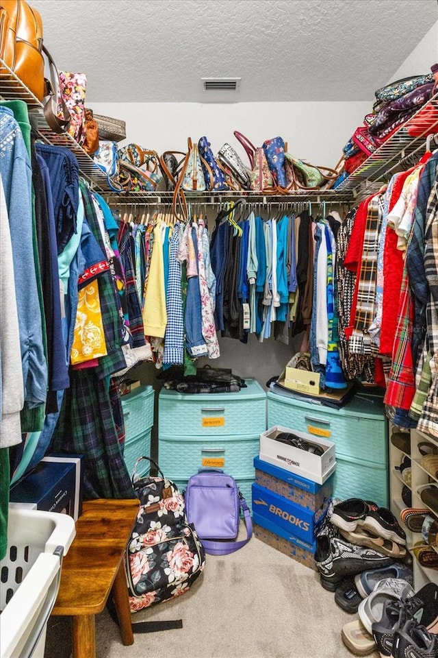 8596 SW 108th Place Rd, Ocala, FL 34481 - spacious closet with carpet