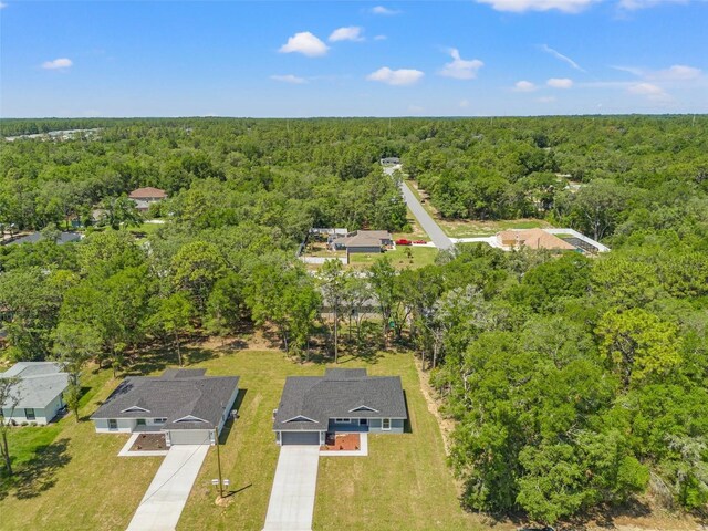 8792 N Sandree Dr, Dunnellon, FL 34434 - drone / aerial view of a forest