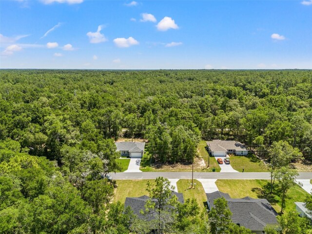 8792 N Sandree Dr, Dunnellon, FL 34434 - aerial view of a forest