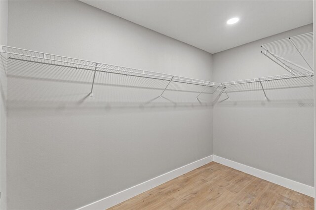 8792 N Sandree Dr, Dunnellon, FL 34434 - walk in closet featuring light wood-type flooring