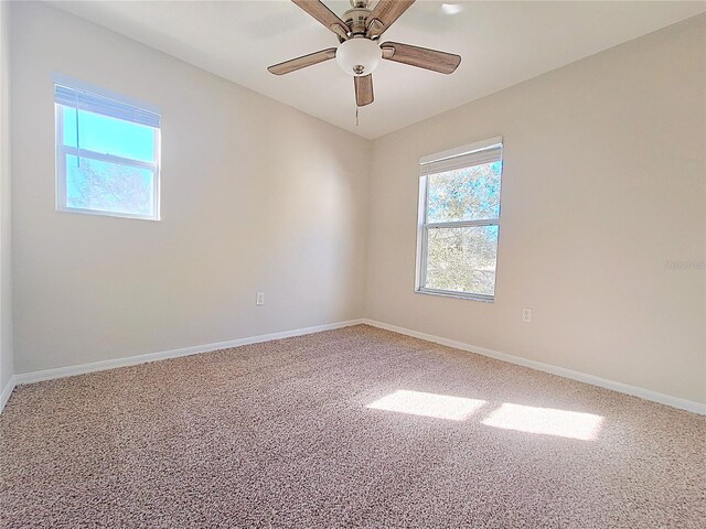 19551 Timberbluff Dr, Land O Lakes, FL 34638 - photo 18