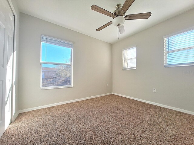 19551 Timberbluff Dr, Land O Lakes, FL 34638 - photo 19