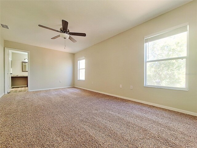 19551 Timberbluff Dr, Land O Lakes, FL 34638 - photo 23