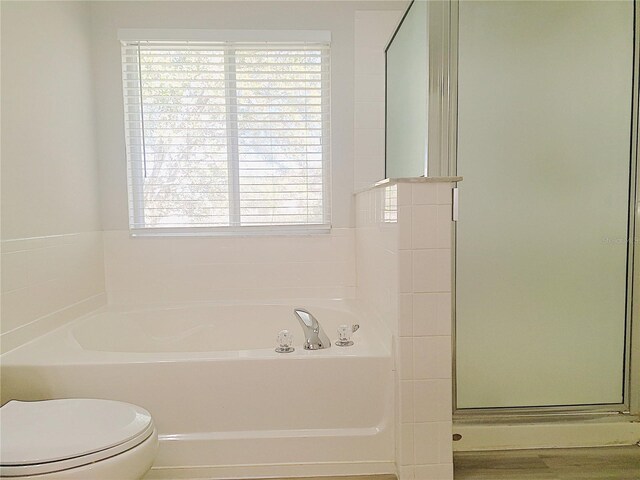 19551 Timberbluff Dr, Land O Lakes, FL 34638 - photo 27