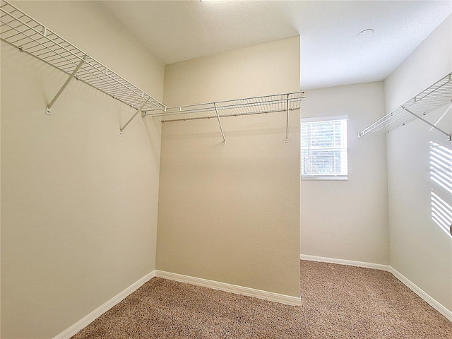 19551 Timberbluff Dr, Land O Lakes, FL 34638 - photo 28