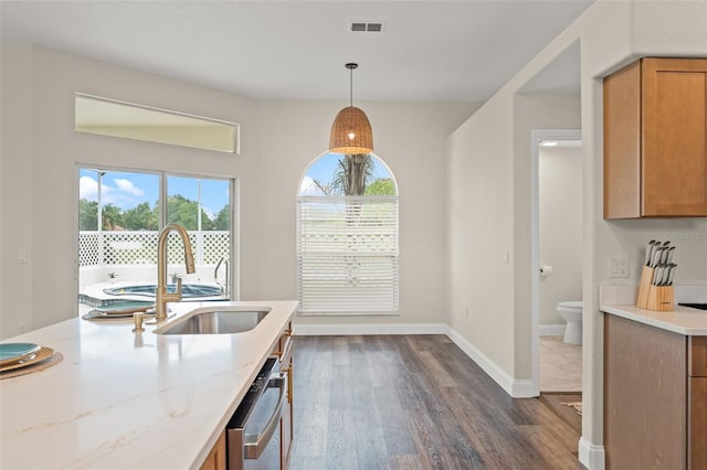 kitchen featuring a sink, dark wood finished floors, plenty of natural light, and dishwasher
